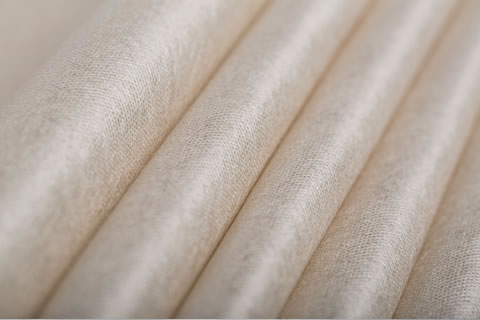 sarcandra glabra fabric